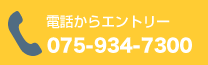 075-934-7300